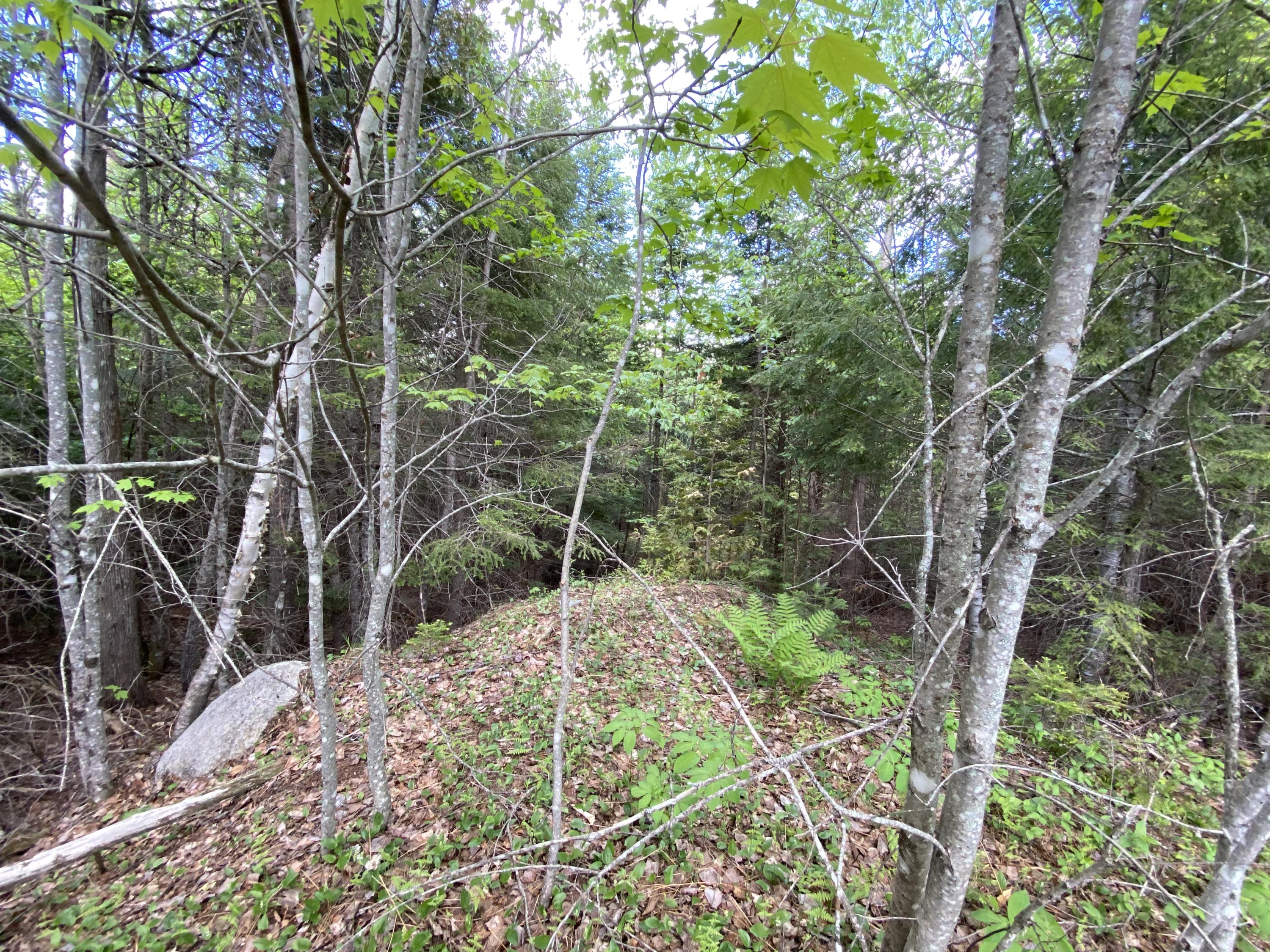75 Spruce Road Winn, ME 04495 - Photo 8 of 11 20B7F0EB-5E43-4646-BAF7-4156E5D4FE49
