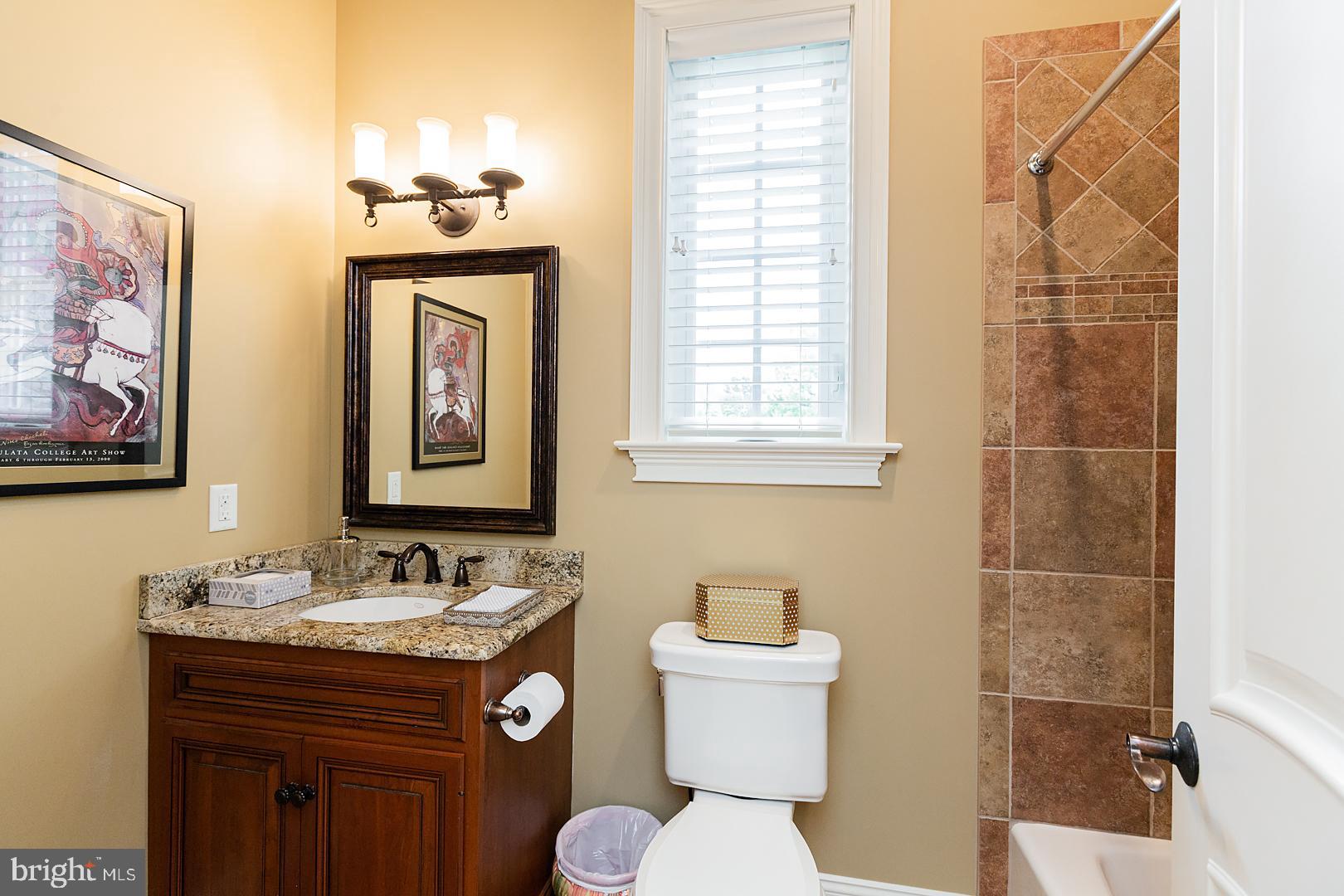 356 Millpond Drive Lititz, PA 17543 - Photo 37 of 114