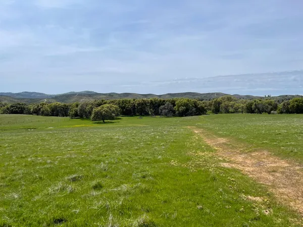 a view of a field with an ocean