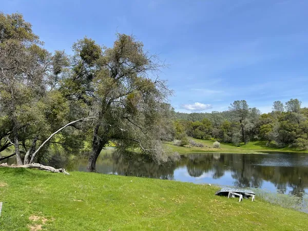 a view of a lake in middle of forest