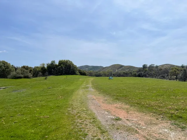 a view of an ocean and beach