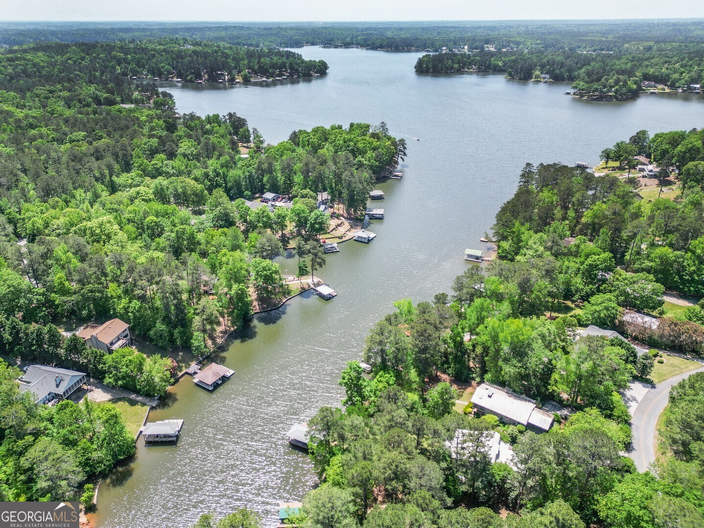 71 Canvasback Court Monticello, GA 31064 - Photo 16 of 78 an aerial view of a houses with lake view