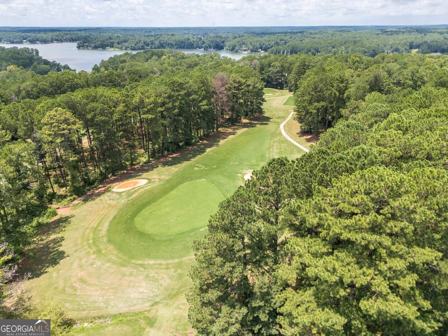 71 Canvasback Court Monticello, GA 31064 - Photo 63 of 78 a view of a lake in middle of the town
