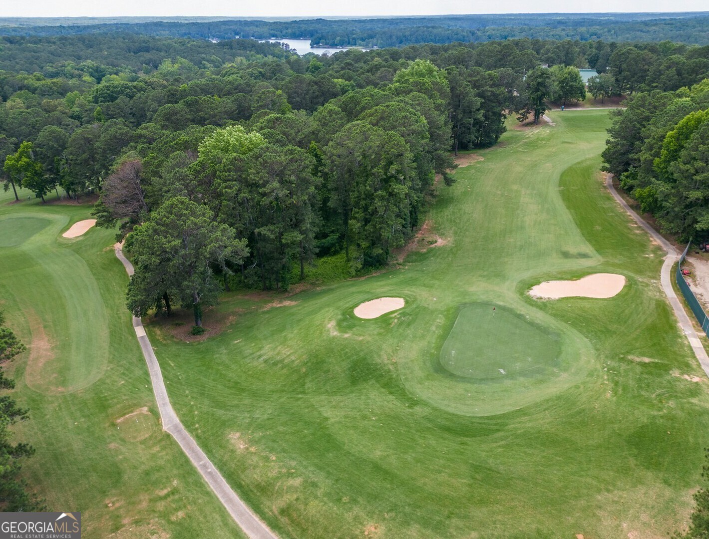 71 Canvasback Court Monticello, GA 31064 - Photo 75 of 78 a view of a golf course with a park