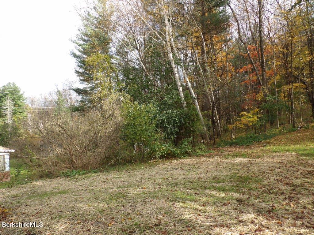 263 Barker Road Pittsfield, MA 01201 - Photo 23 of 24 100_1243