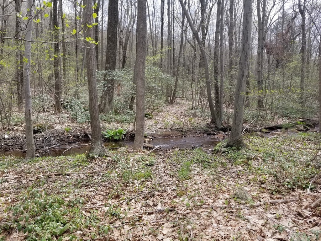 Xo Frontage Road Ashford, CT 06278 - Photo 4 of 19 Gallery Image 4