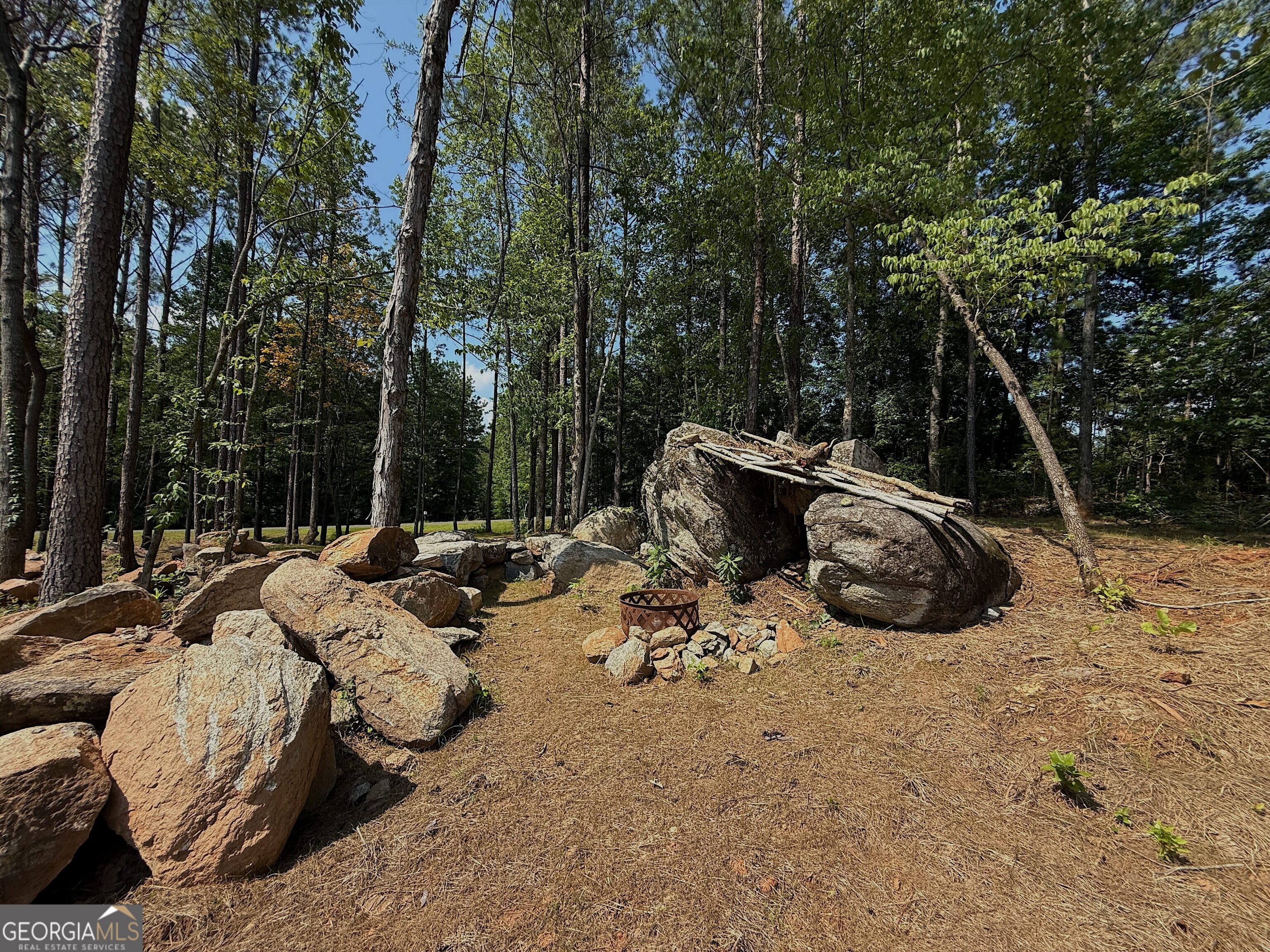245 Lake Talbot Road Box Springs, GA 31801 - Photo 28 of 31