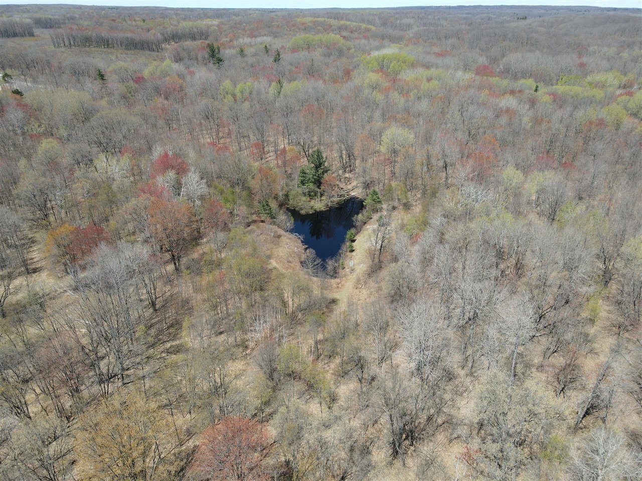11401 Little George Lake Road Gladwin, MI 48624 - Photo 12 of 72