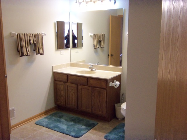 1663 Cameron Drive Hampshire, IL 60140 - Photo 13 of 17