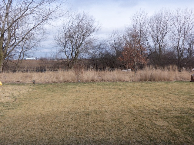 1663 Cameron Drive Hampshire, IL 60140 - Photo 17 of 17