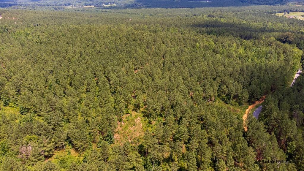 0 Chathem Road Decatur, TN 37322 - Photo 18 of 20