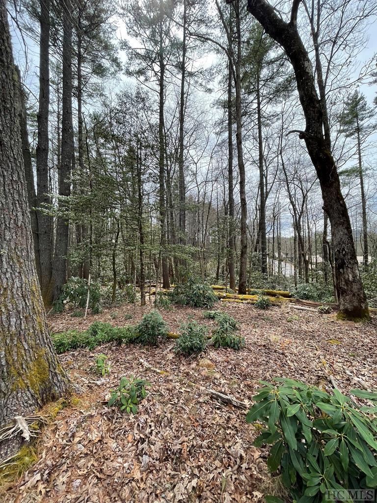 16 Flagstone Road Sapphire, NC 28774 - Photo 1 of 5 Gallery Image 1
