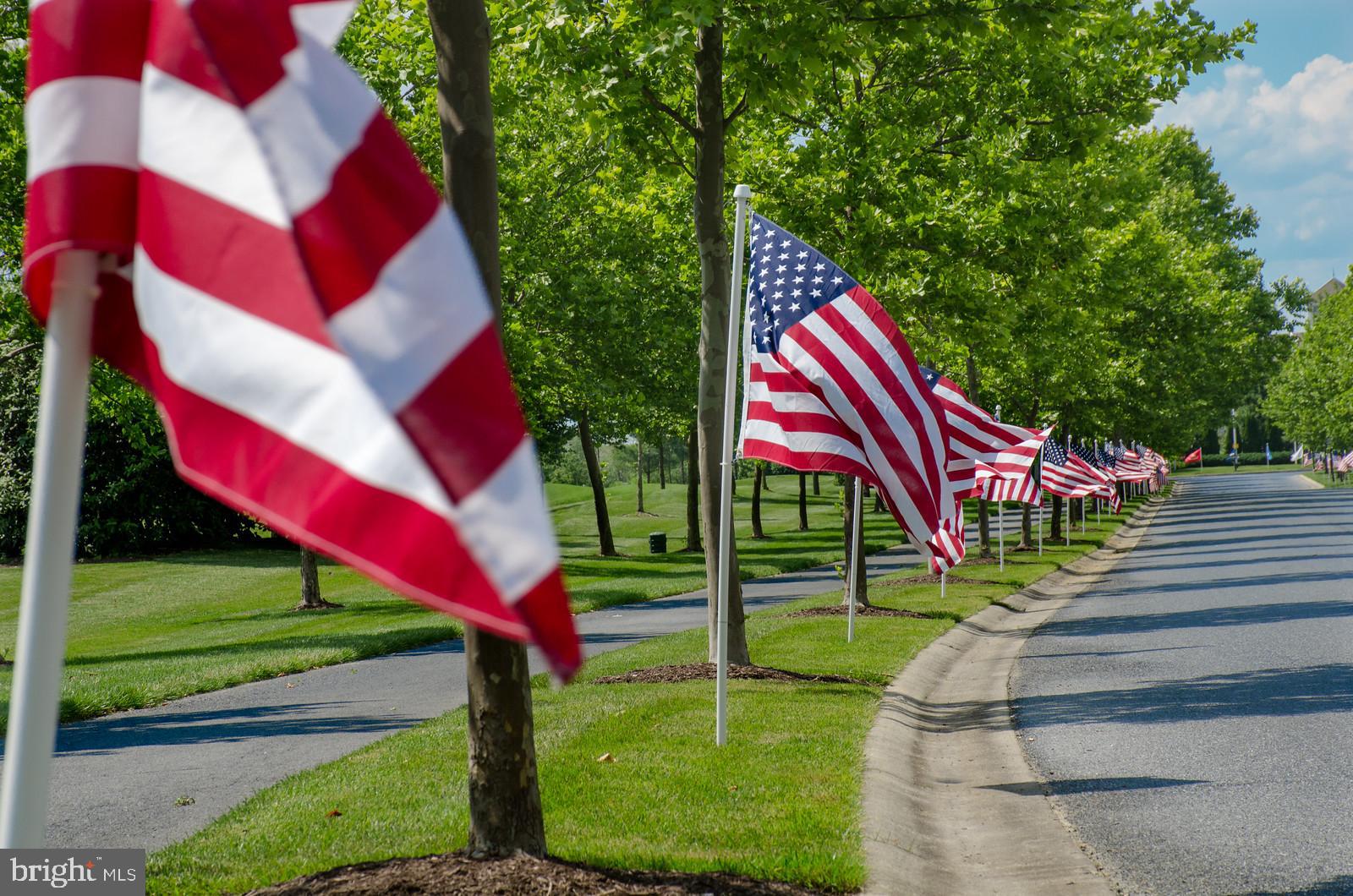 11 Ruddy Duck Lane Bridgeville, DE 19933 - Photo 44 of 57 Patriotic display along a tree-lined street.