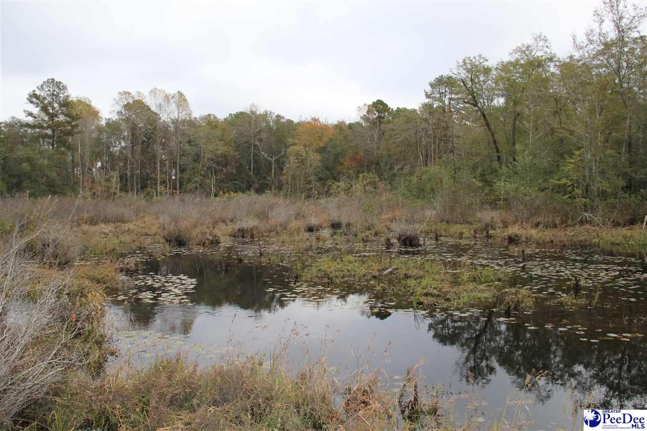 Mont Clare Road Darlington, SC 29540 - Photo 1 of 1 Gallery Image 1