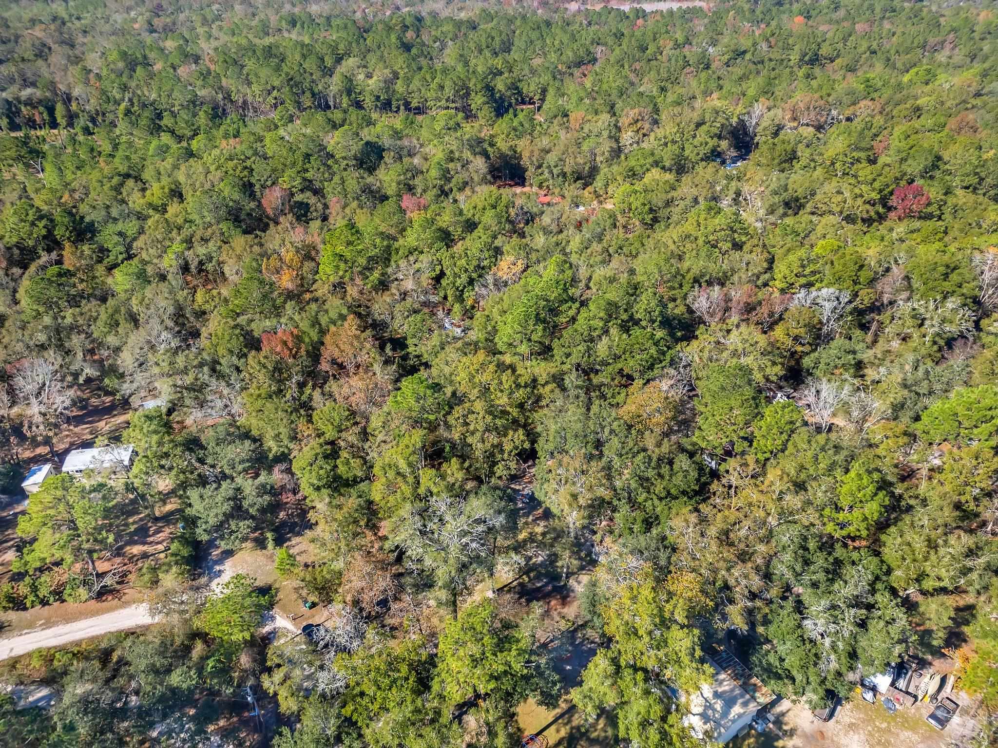 1873 Wax Myrtle Road Tallahassee, FL 32305 - Photo 1 of 6 Gallery Image 1