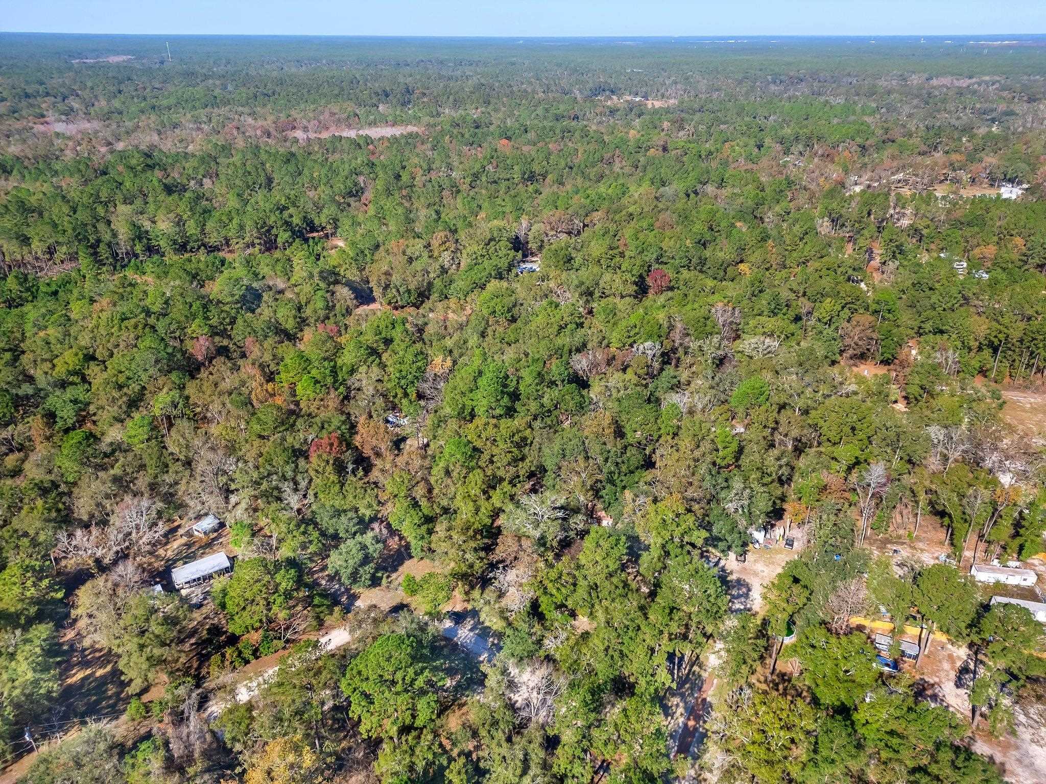 1873 Wax Myrtle Road Tallahassee, FL 32305 - Photo 2 of 6 Gallery Image 2