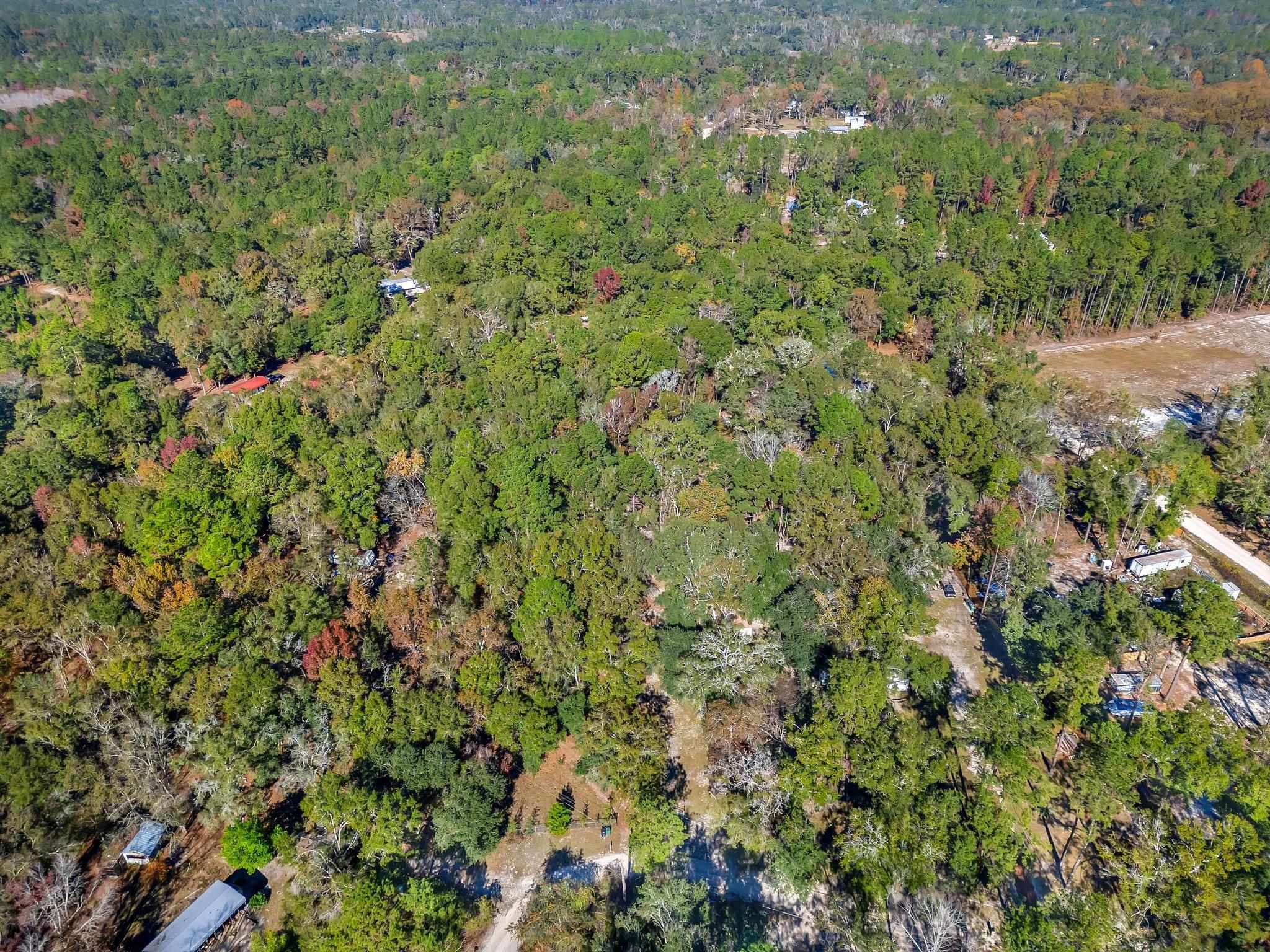 1873 Wax Myrtle Road Tallahassee, FL 32305 - Photo 3 of 6 Gallery Image 3