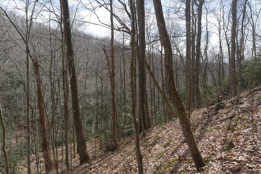 Tbd Reynolds Ridge Road, Unit 1 Bandy, VA 24602 - Photo 41 of 44 Gallery Image 41