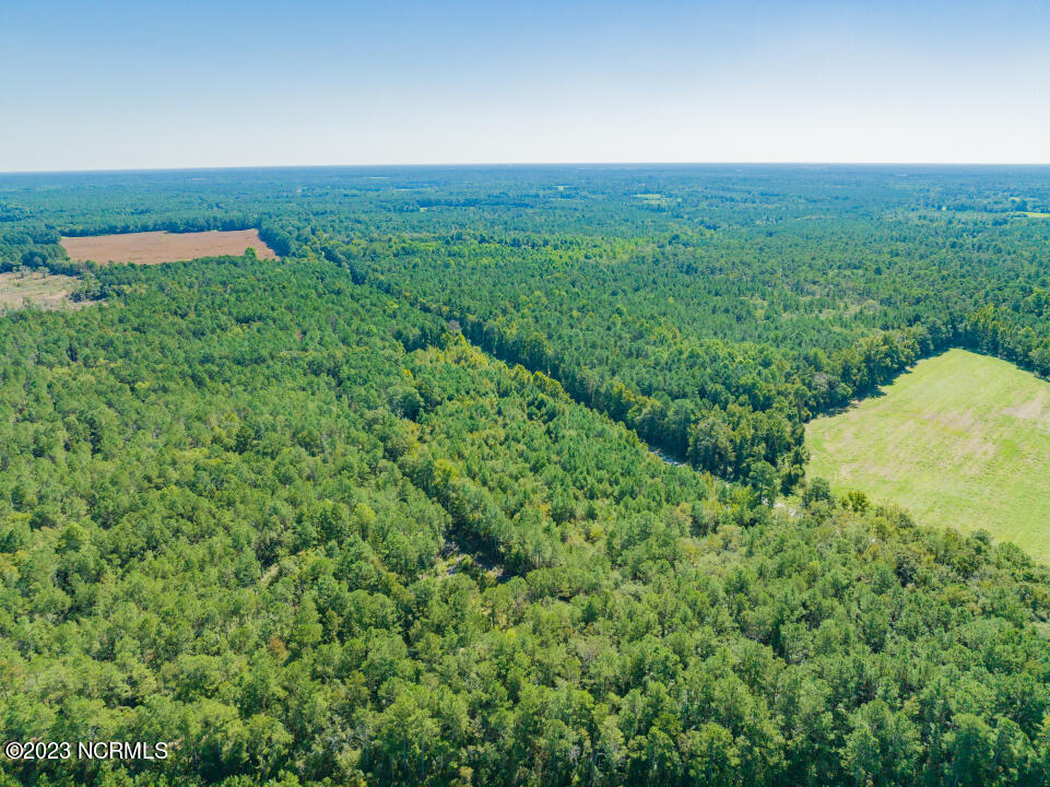 0 Trinity Church Road Magnolia, NC 28453 - Photo 11 of 47 11