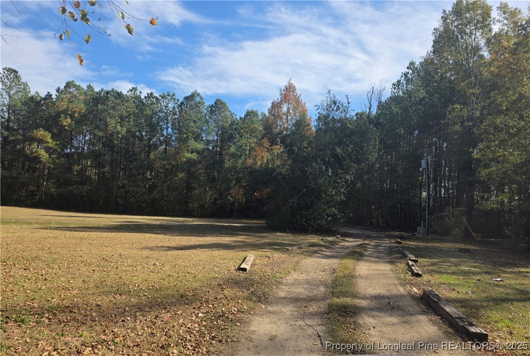 409 Burns Road Lumberton, NC 28358 - Photo 16 of 16 a view of a yard with trees