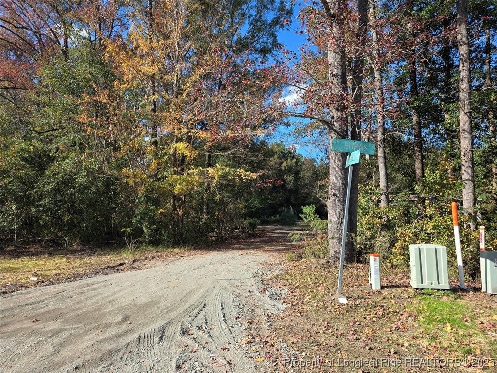 409 Burns Road Lumberton, NC 28358 - Photo 6 of 16 a view of a yard with plants and trees