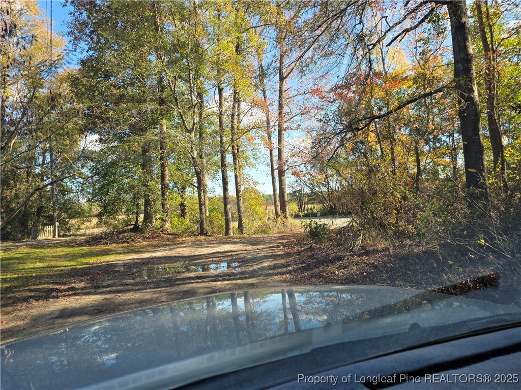 409 Burns Road Lumberton, NC 28358 - Photo 7 of 16 a view of a yard with large trees