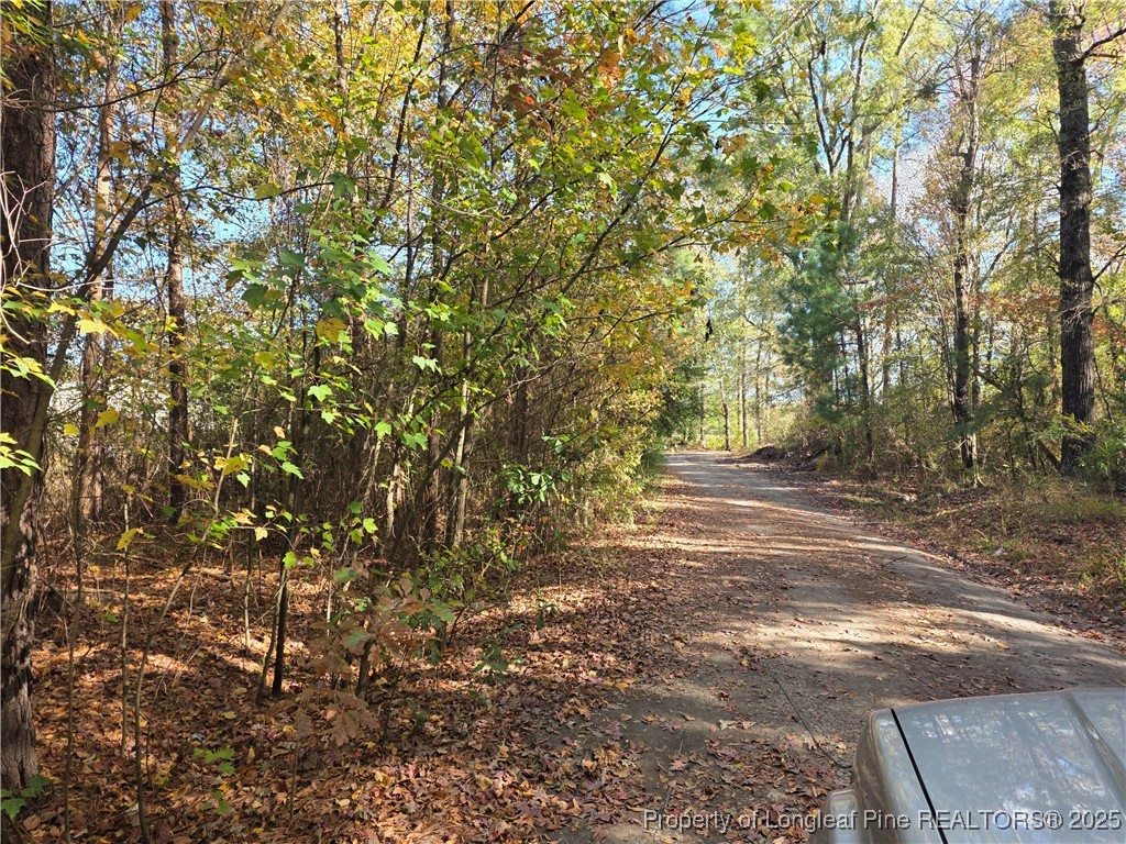 409 Burns Road Lumberton, NC 28358 - Photo 8 of 16 a backyard of a house with lots of green space
