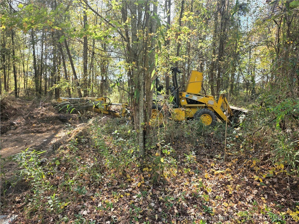 409 Burns Road Lumberton, NC 28358 - Photo 10 of 16 a backyard of a house with table and chairs