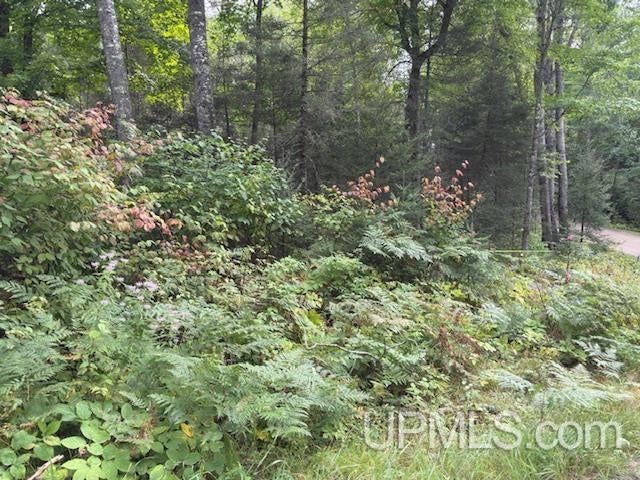 T-wi Loon Lake Road Florence, WI 54121 - Photo 13 of 27 Gallery Image 13
