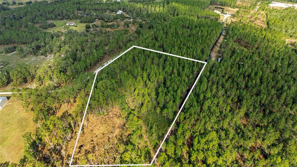 1 Wild Cur Road Pierson, FL 32180 - Photo 2 of 9 a view of a yard with a plant