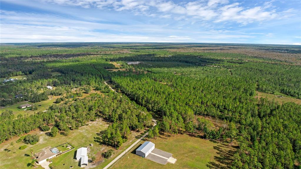 1 Wild Cur Road Pierson, FL 32180 - Photo 4 of 9