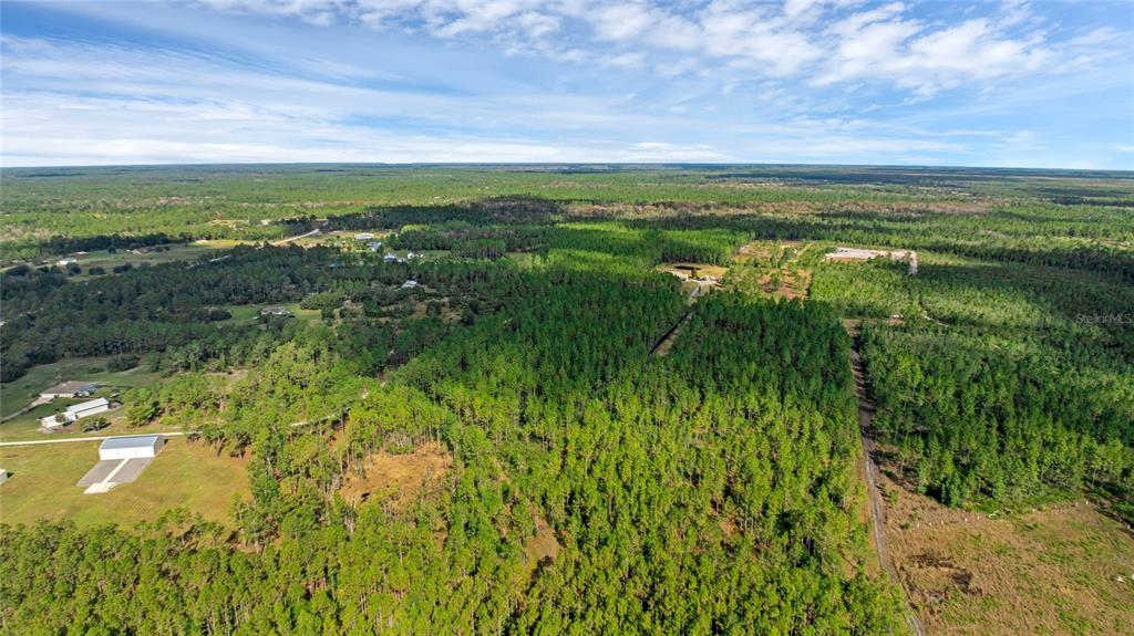 1 Wild Cur Road Pierson, FL 32180 - Photo 5 of 9