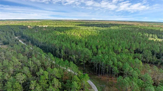 a view of a backyard of the house