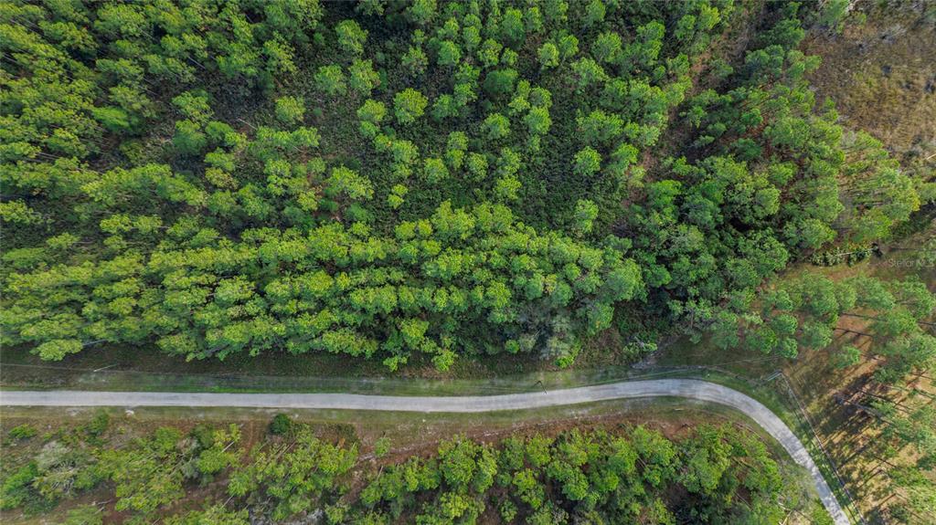 1 Wild Cur Road Pierson, FL 32180 - Photo 9 of 9 a view of a backyard of the house