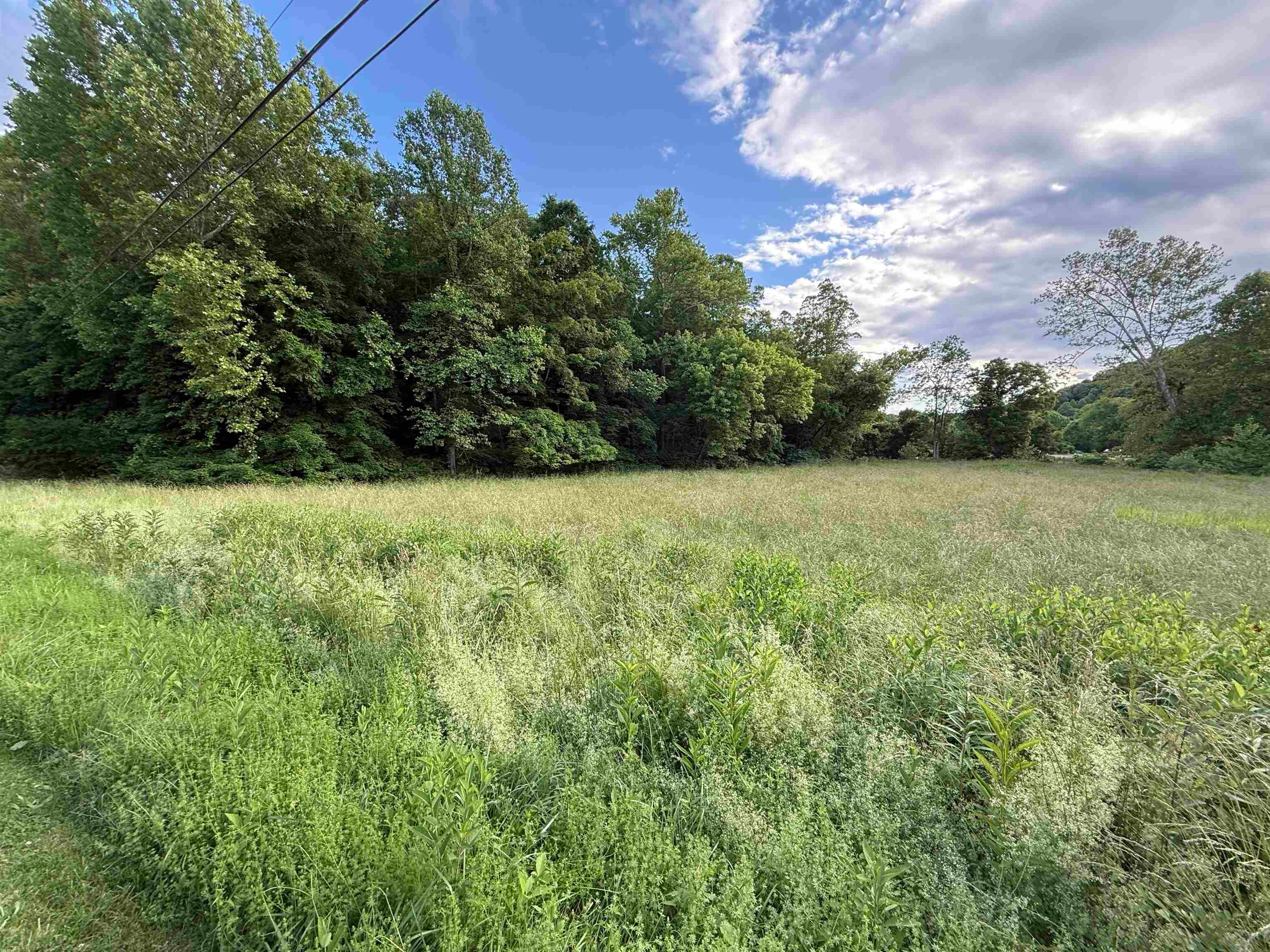 0 Co Road Ironton, OH 45638 - Photo 4 of 5 Gallery Image 4