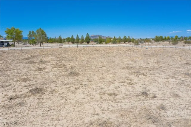 $55,000 | 0 Wood Avenue, Sandy Valley, NV 89019