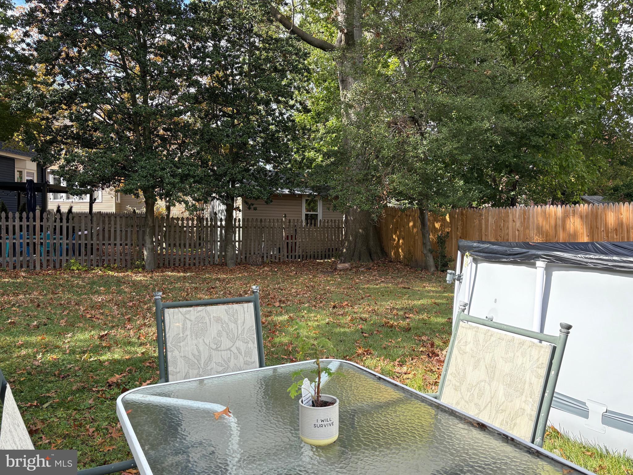 123 West Browning Road Collingswood, NJ 08108 - Photo 46 of 48 Rear yard with above ground pool