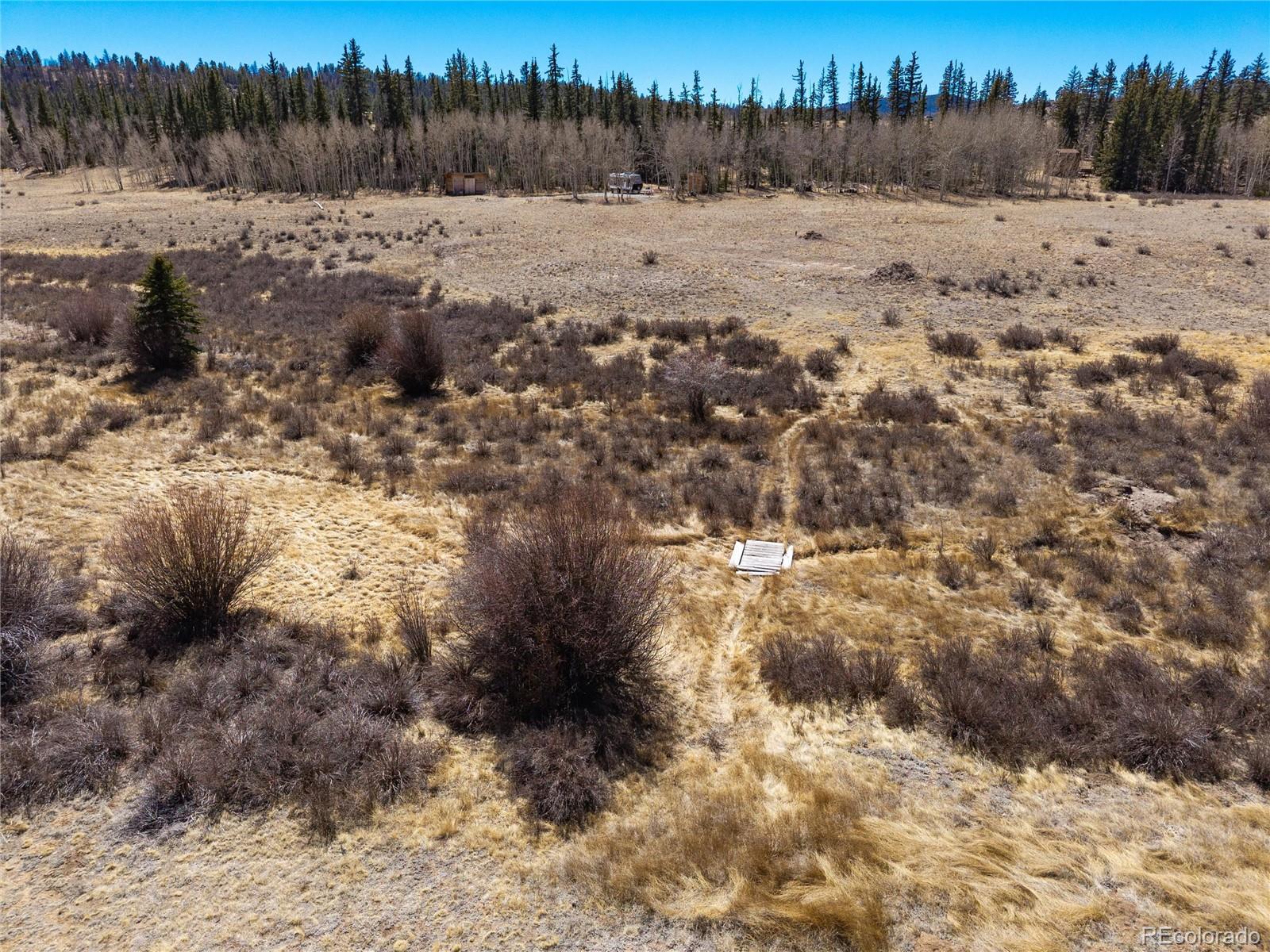 683 Latigo Loop Hartsel, CO 80449 - Photo 13 of 34