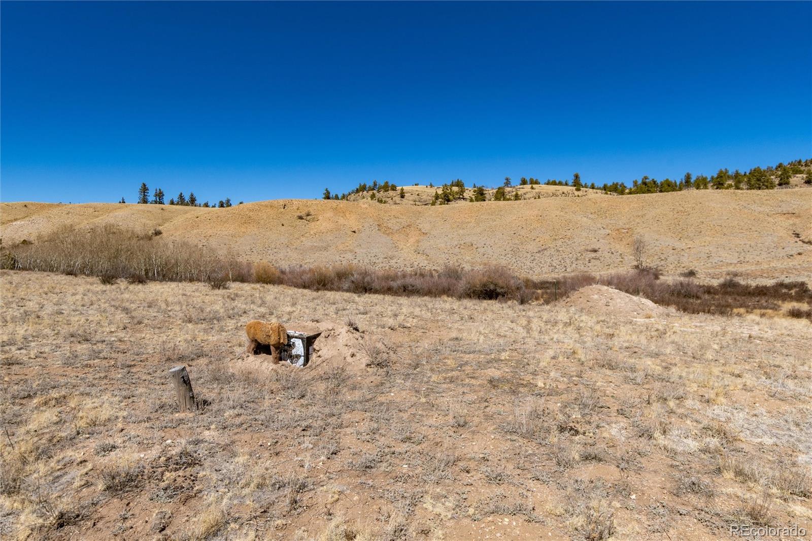 683 Latigo Loop Hartsel, CO 80449 - Photo 16 of 34