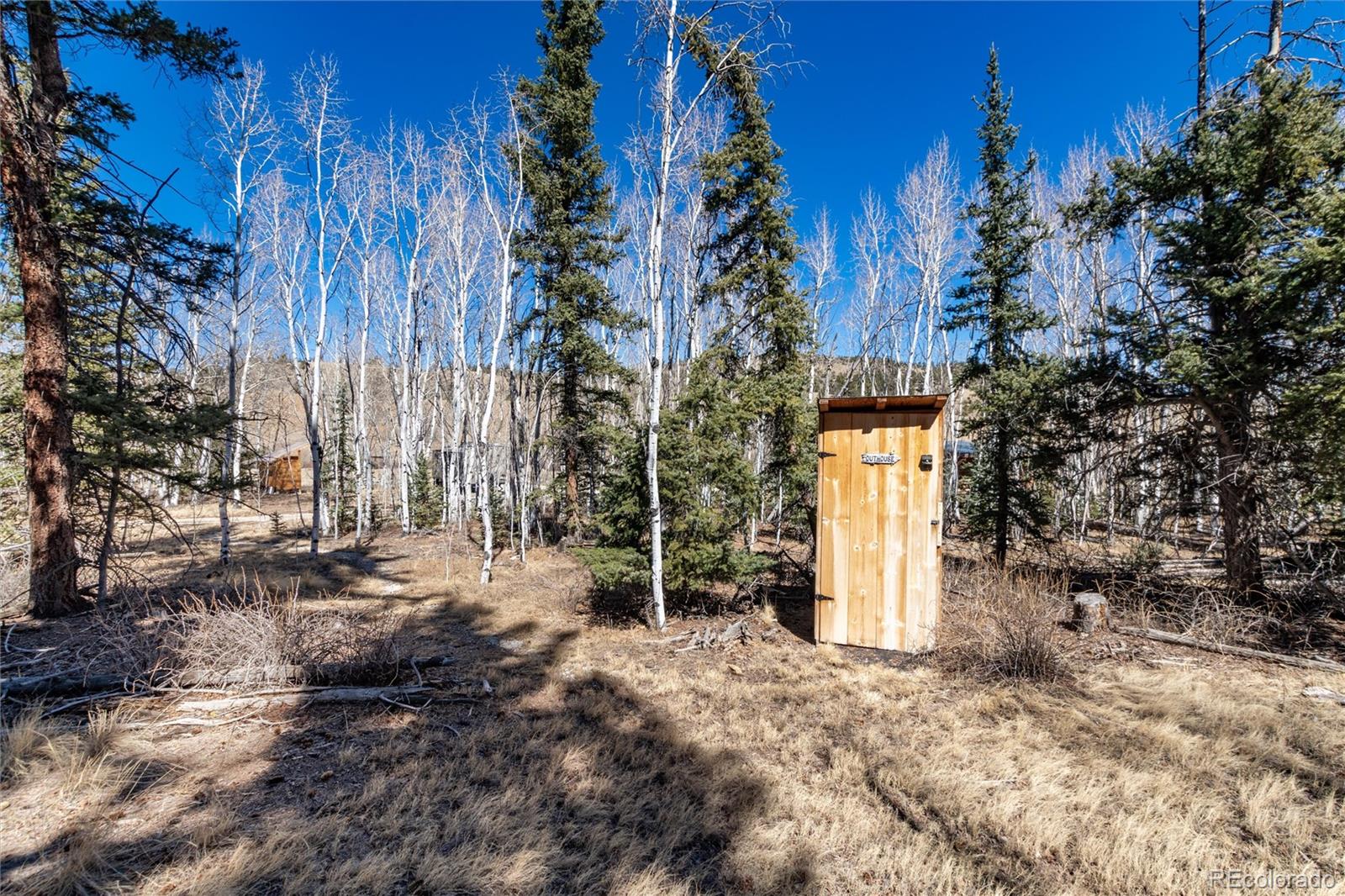 683 Latigo Loop Hartsel, CO 80449 - Photo 3 of 33