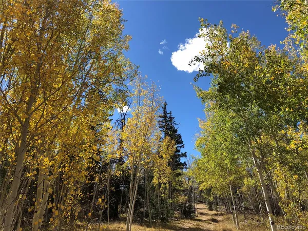 $150,000 | 683 Latigo Loop, Hartsel, CO 80449