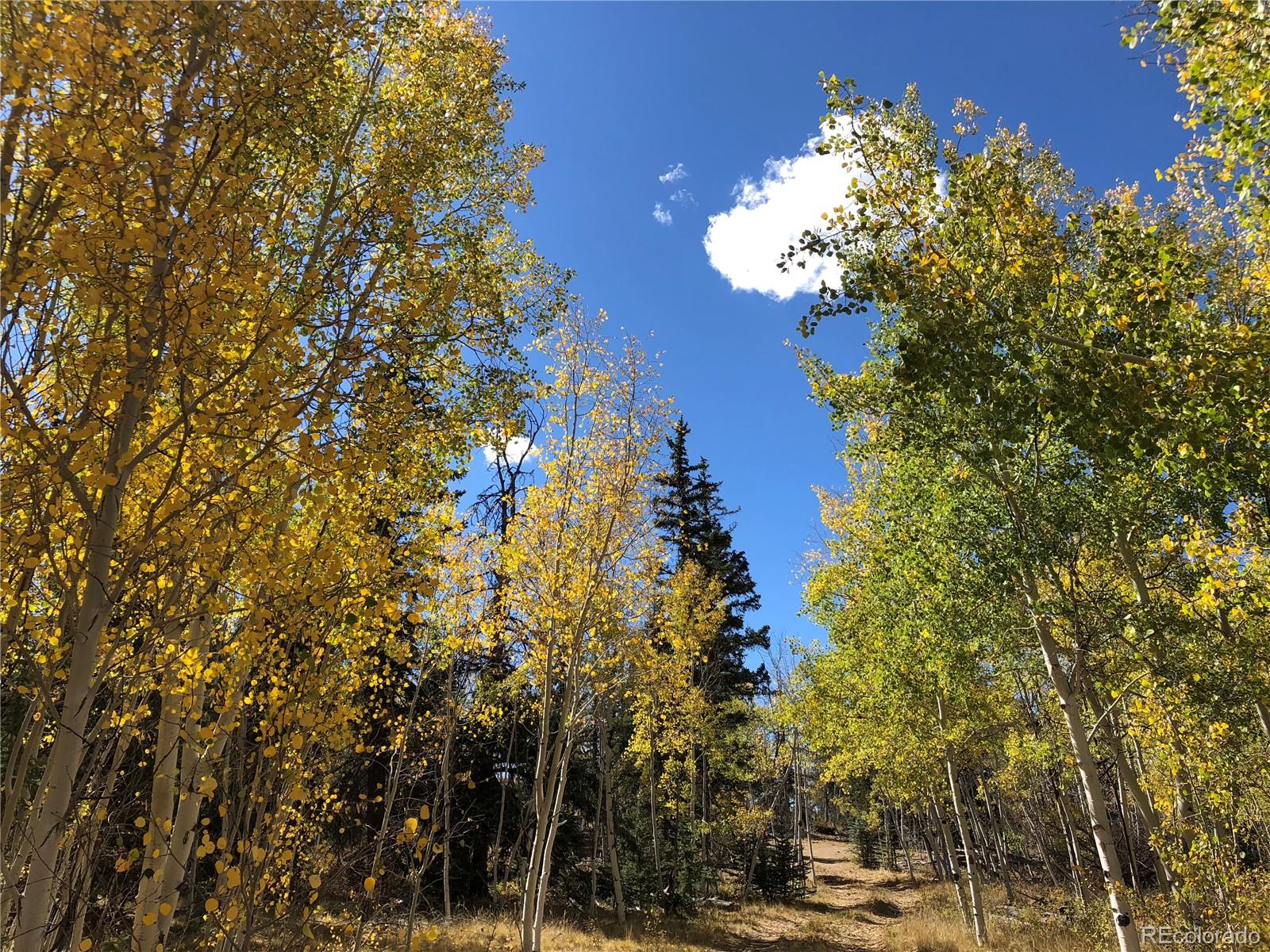 683 Latigo Loop Hartsel, CO 80449 - Photo 32 of 33