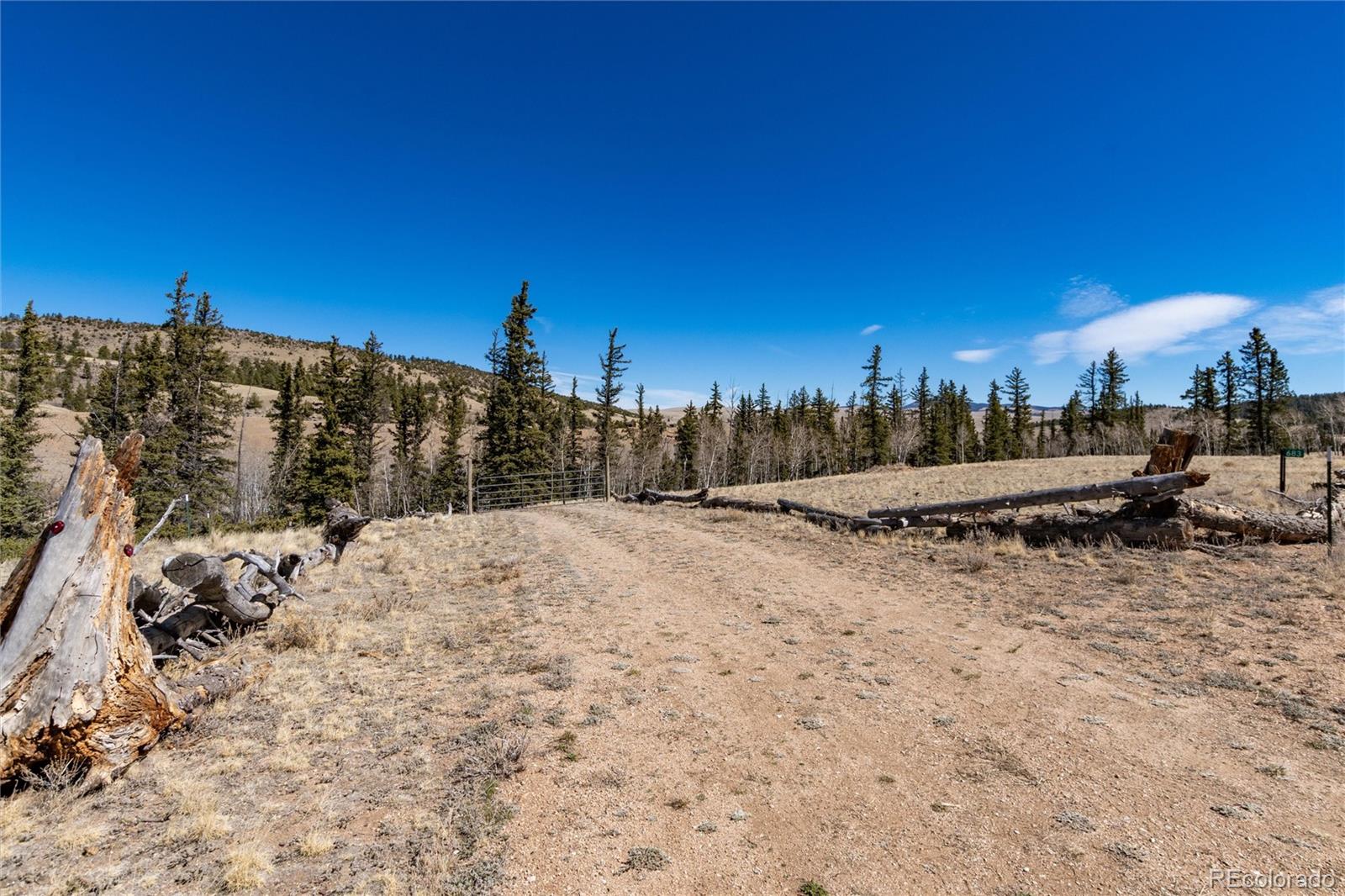 683 Latigo Loop Hartsel, CO 80449 - Photo 6 of 33