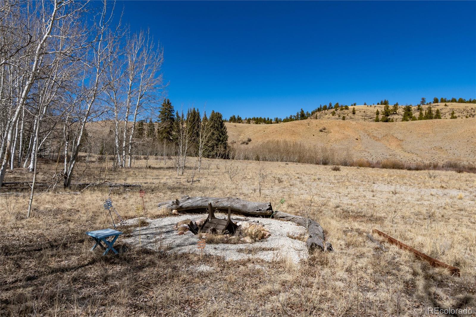 683 Latigo Loop Hartsel, CO 80449 - Photo 9 of 33