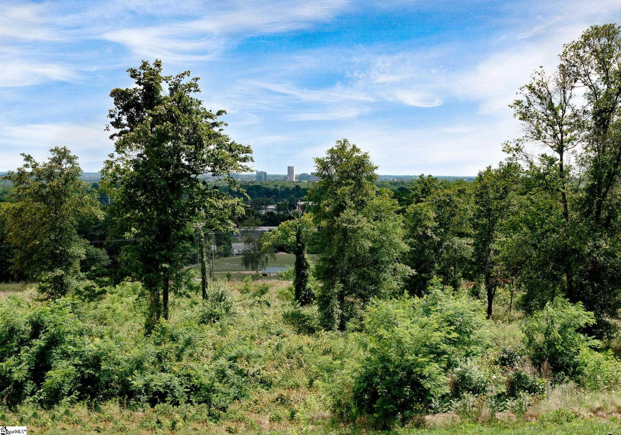 109 Rovello Court, Unit LOT 471 Greenville, SC 29609 - Photo 4 of 36