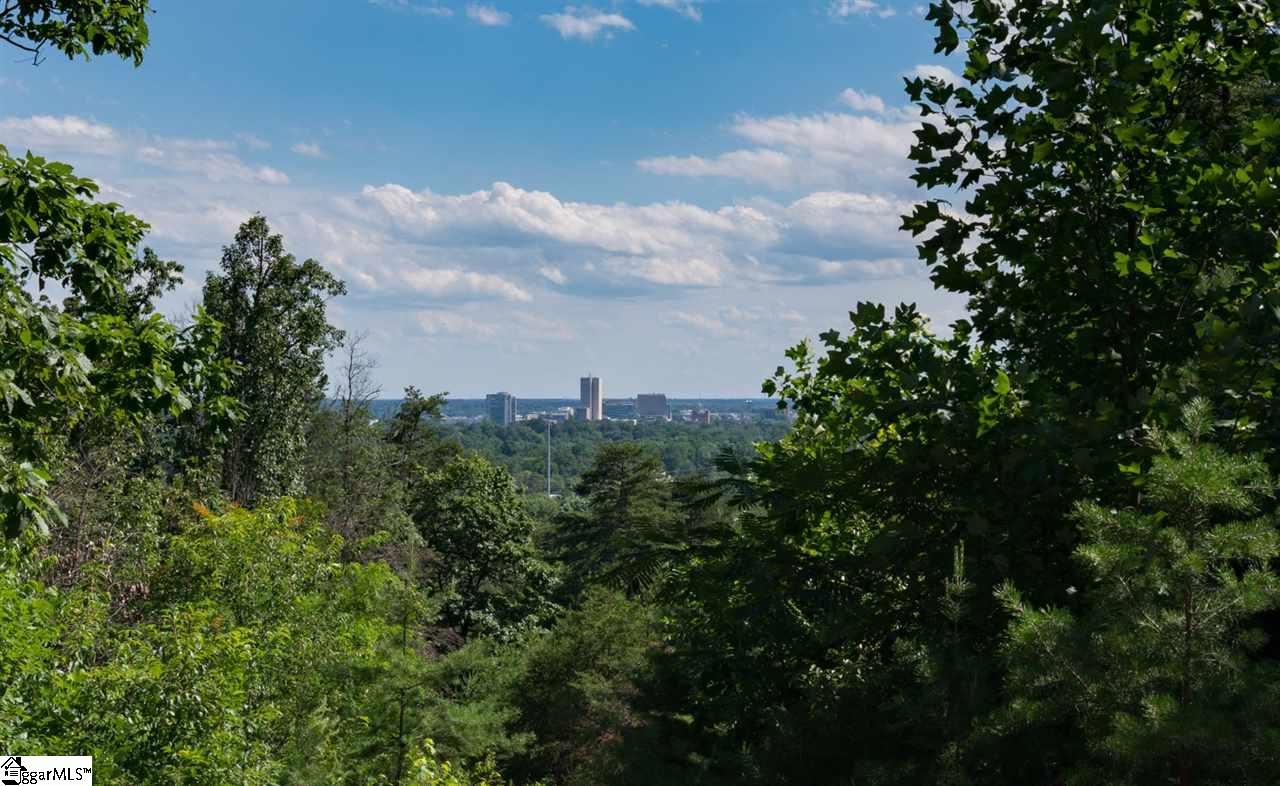 109 Rovello Court, Unit LOT 471 Greenville, SC 29609 - Photo 5 of 36