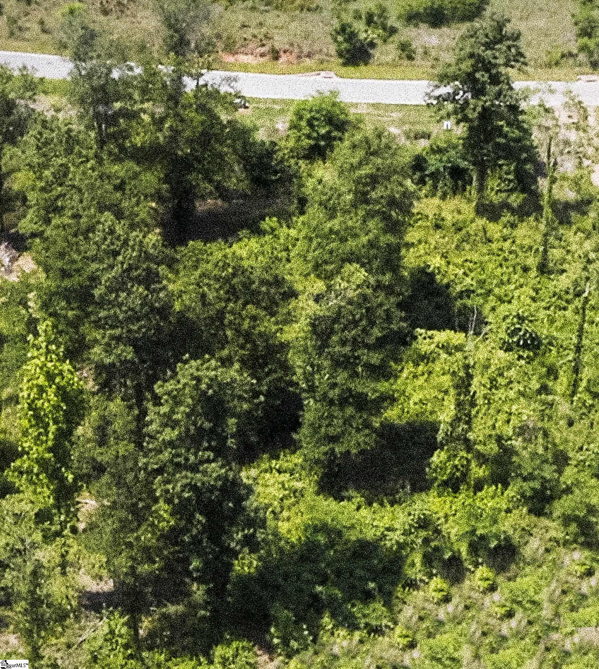 109 Rovello Court, Unit LOT 471 Greenville, SC 29609 - Photo 6 of 36