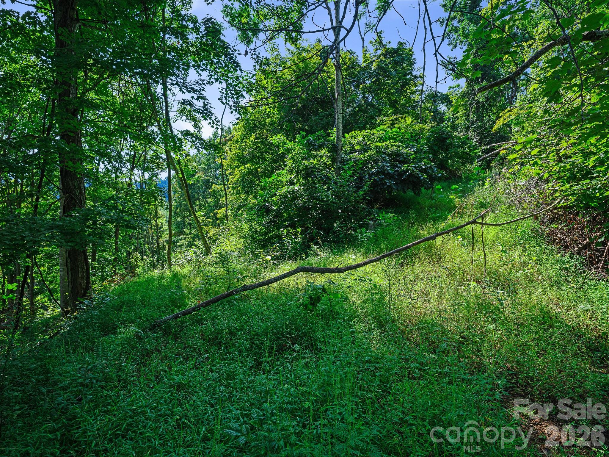 Lot #63-65 Lot#63-65 Bear Ridge Road Bakersville, NC 28705 - Photo 13 of 38 Gallery Image 13