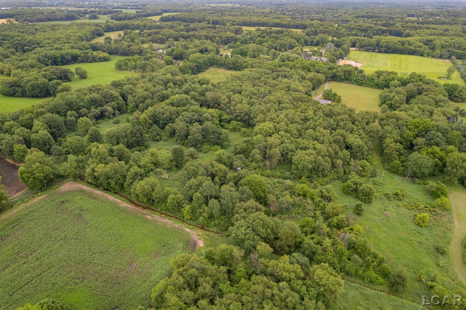 2010 South Kane Road Stockbridge, MI 49285 - Photo 68 of 80