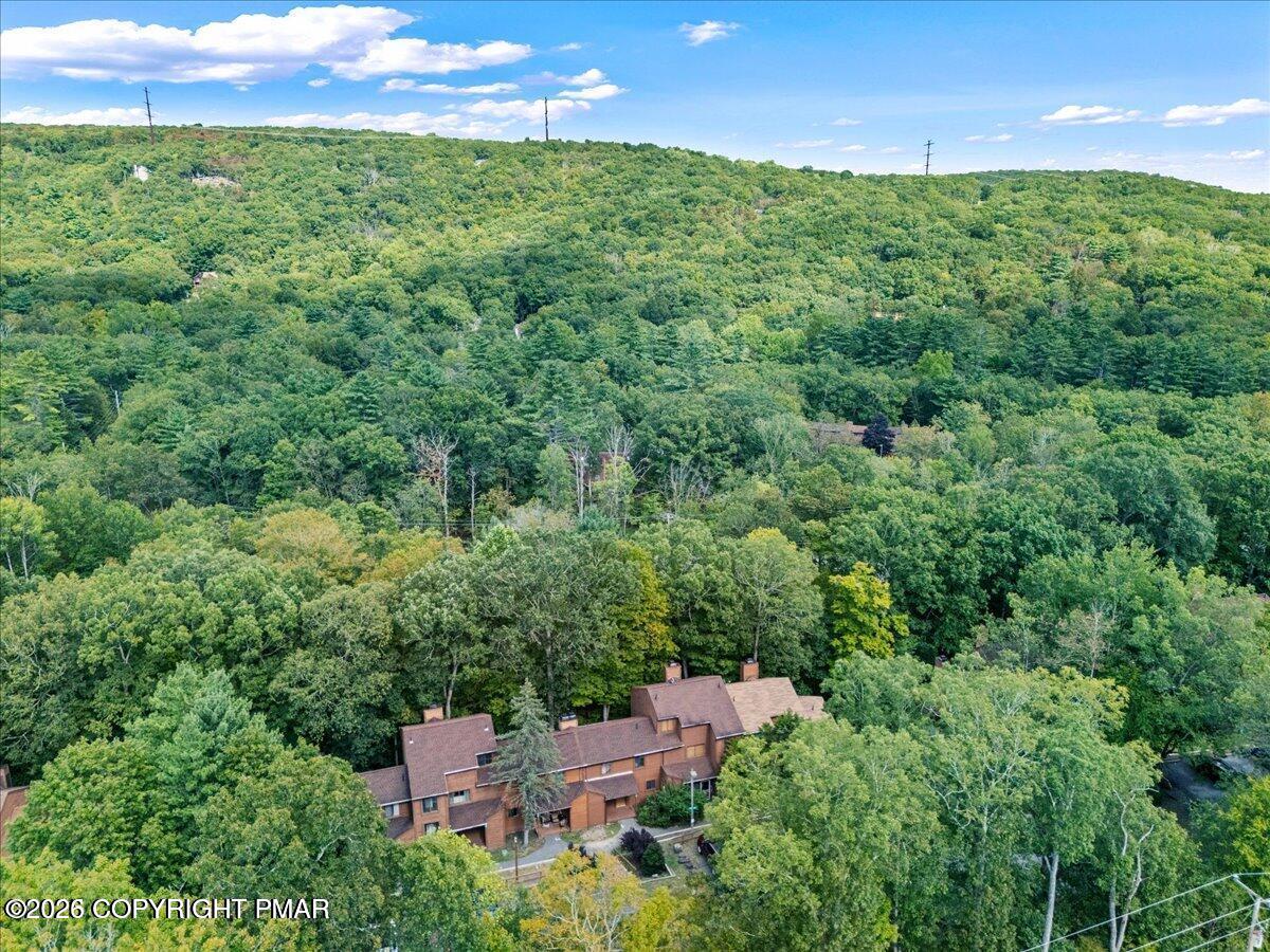 337 Crewe Court Bushkill, PA 18324 - Photo 22 of 24 20250903152425117781000000-oariaerial vi